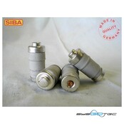 Siba D02-Sicherungseinsatz 1002807.25