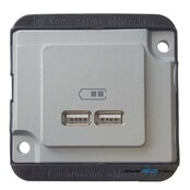 Merten USB-Ladestation MEG4366-7060