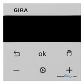 Gira Raumtemperaturregler-Displ 5393015