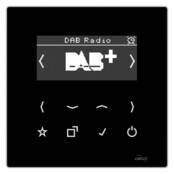 Jung Smart DAB+ Digitalradio DAB LS SW