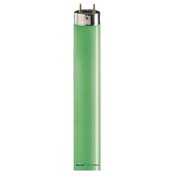 Signify Lampen Leuchtstofflampe TL-D 36W/17