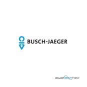 Busch-Jaeger Tastersymbol 2525-13