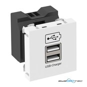 OBO Bettermann Vertr USB Ladegert MTG-2UC2.1 RW1