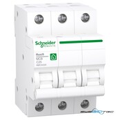 Schneider Electric Leitungsschutzschalter R9F24325