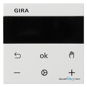 Gira RTR Display 539303