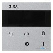 Gira RTR Display 539326