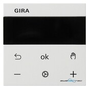 Gira RTR Display 539327