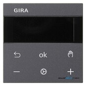 Gira RTR Display 539328