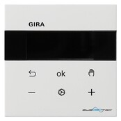 Gira RTR BT System 5394112