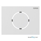 Gira Front Trstationsmodul 5579902